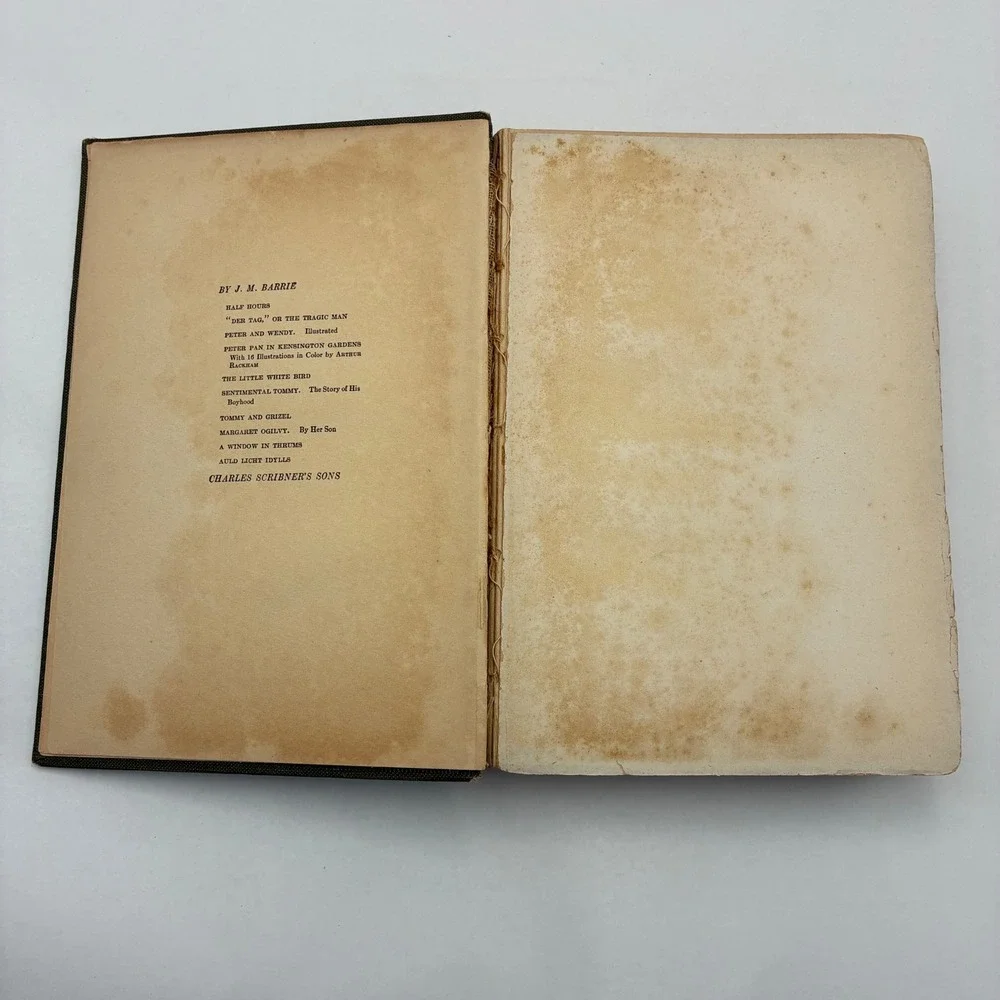 Peter and Wendy J.M. Barrie 1911 First Edition First Print F.D. Bedford Scribner